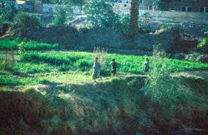 Egypt -children on river bank