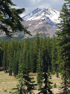 Mt. Shasta, CA