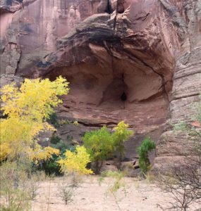 Navajo Land, AZ